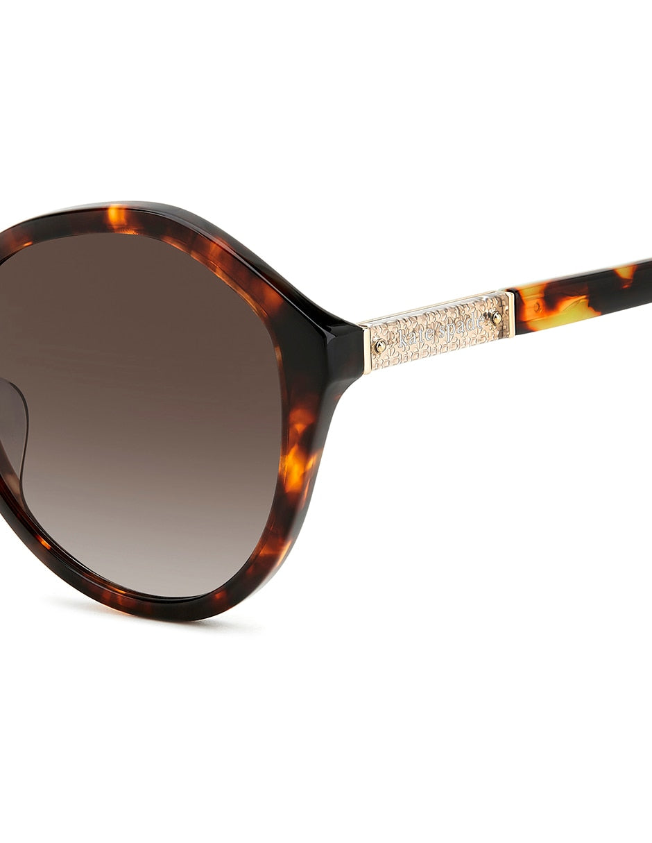 Lente de Sol Kate Spade JEZEBEL/G/S Habana para Mujer