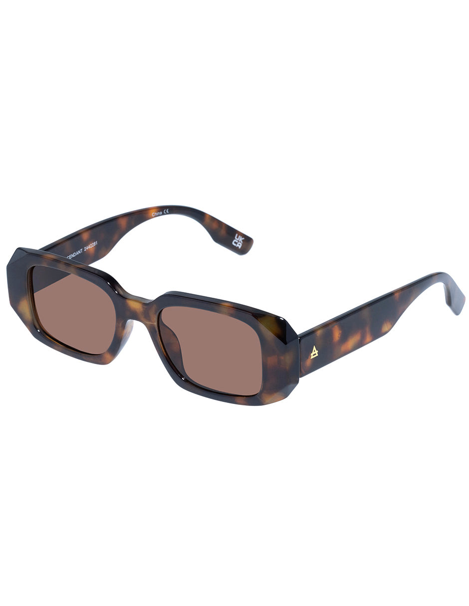 Lente Solar AIRE ASCENDANT Unisex Café oscuro